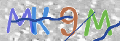 CAPTCHA (Şahıs Denetim Kodu) Resmi
